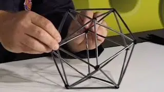 Dr. Zoon: Straw Structures
