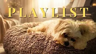 Relaxing Piano to Fall Asleep Fast (POV: Cozy Puppy)