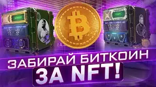 Gomining: Зарабатывай BTC на майнинге  / Уникальные NFT с Хабибом Нурмагомедовым!