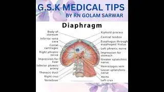 #shorts #biology #education #medical G.S.K MEDICAL TIPS YOUTUBE CHANNEL.
