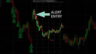 Live Day Trading Alerts with LiveStream Trading
