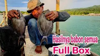 Hasilnya babon baronang jalu, Full Box Eps. 5 @Ngusepbaronangchannel