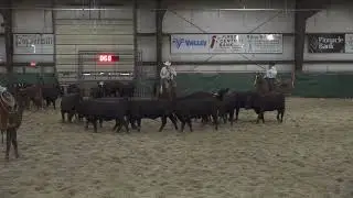 Magico: 25k Novice Horse at 2025 CD Cutters August Cutting