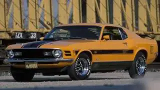 All American Muscle