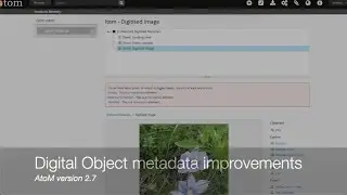 Digital object metadata changes