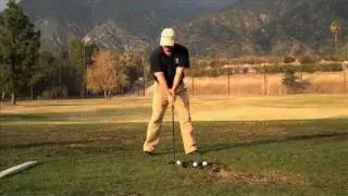 Tiger Hogan Impact