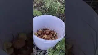 Все надоело, сбежал от проблем…