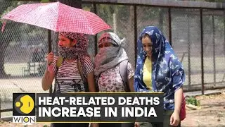 WION Climate Tracker | Study: Loss of potential labour hours affected GDP in 2021 | World News