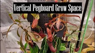 Vertical Pegboard Growing Space