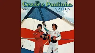 Asa delta (Voando livre)