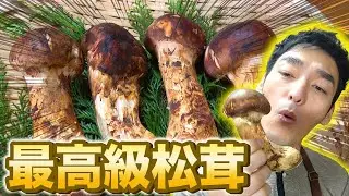 【秋の味覚】最高級松茸を使って炊き込みご飯&焼き松茸を作ってみた！【料理】