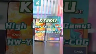 KAIKU LCD: HW-Y9 2019-COG High color gamut #lcd #smartphone #screenbreak #kaiku #display #tech