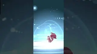 Shiny Skwovet/Greedent