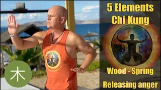 Wood (Spring) Element Chi Kung (Qigong) | Transform Anger into Kindness | Energy & Emotional Renewal