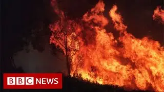 Australia fires: Climate change increases the risk of wildfires - BBC News