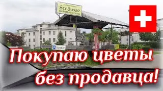 Покупаю цветы в Швейцарии