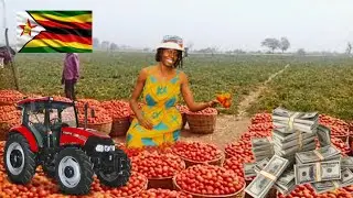 How To Start Farming With $1000 In Zimbabwe 