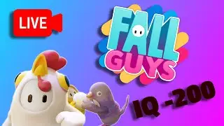 Fall Guys LIVE 🔴 - IQ -200