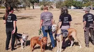 First responder pet therapy program grows in Austin