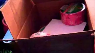 Package: Tape Brothers and Duck Brand Duck
