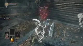 Please dont bully the lothric K***ht's