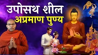 चार अपाय गति से बच्चाने वाला धर्म।| अप्रमाण  पुण्य | Buddhas Teaching | Bhante Dhammasen