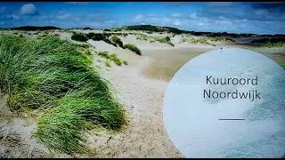 NOV-soos NOV2024 | Wellness aan zee