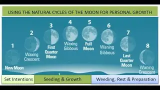 How To Use the Natural Cycles of the Moon for Personal Growth