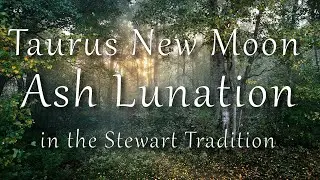 Wiccan Esbat - Ash / Taurus New Moon