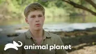 Travessia réptil: em busca de crocodilos | A Família Irwin | Animal Planet Brasil