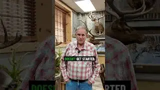 Bug and Pest Mitigation | Taxidermy | Wilderness by Klaus