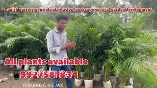 Danish nursery gajroula plantation landscape vertical garden development #100kview #householdplants 