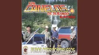 Dos Celulares