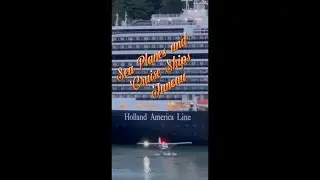 ARE SEA PLANES TO CLOSE TO CRUISE SHIPS?