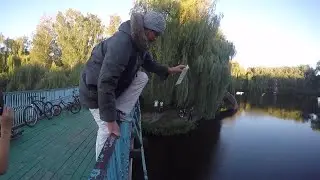 Only_Up  Я ДОЛЖЕН ЭТО СДЕЛАТЬ