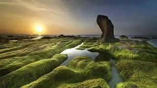 On the Beach 18 / Ambient Wave Sounds