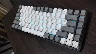 Rexus Daxa m84 Ultimate Gateron Yellow Sound Test (Unlubed)