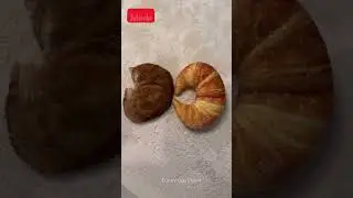 Забавные кошки. Видео 163
