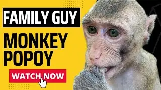 My Hero of Monkey Popoy Really Adorable Nicknames | Family Guy Monkey