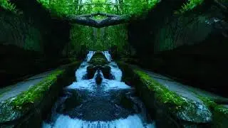 Michael Deej - Dawn