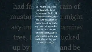 BIBLE AUDIO LUKE 17:5-6 || God's Word - Bible Stories #Shorts