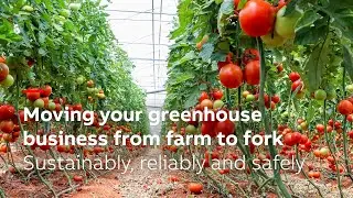 Moving your Greenhouse business from farm to fork | Sustainably, reliably and safely