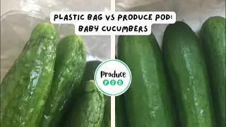 Baby cucumbers: plastic vs Produce Pod!