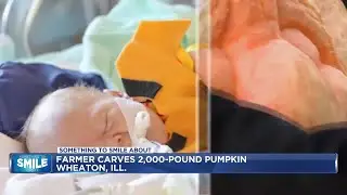 Mercyhealth NICU babies celebrate first Halloween in handmade costumes