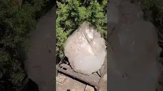 Giant Quartz Found #shorts