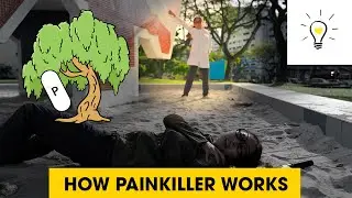 How Painkillers 