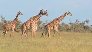 Top-10 places to visit in Damaraland for travelers