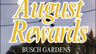 🎢 August 2025 Platinum Pass Perks at Busch Gardens Tampa Bay!