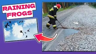 FROGS FALLING FROM THE SKY?! Mind-Blowing Phenomenon | Nature Facts