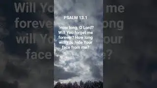 #469  PSALM 13.1  #god #mindset #bible #motivation #verse